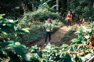 BIB: 
                            <button type="button" onclick="openModal(25853933)" class="btn btn-primary btn-sm float-right btn-popup" data-toggle="modal" data-target=".modal-high-quality">
                        <i class="fas fa-shopping-cart"></i> Add to Cart
                    </button>
                                            <button type="button" onclick="isThisMe(25853933, true)" class="btn btn-success btn-sm float-right btn-popup btn-isme hidden" data-toggle="tooltip" data-placement="bottom" title="นี่คือรูปของคุณใช่ไหม คลิกที่นี่เพื่อเอาเข้าอัลบั้ม">
                        <i class="fas fa-plus"></i> Add to album
                    </button>
                    <button type="button" onclick="isThisMe(25853933, false)" class="btn btn-warning btn-sm float-right btn-popup btn-isnotme hidden">
                        <i class="fas fa-ban"></i> Remove from album
                    </button>